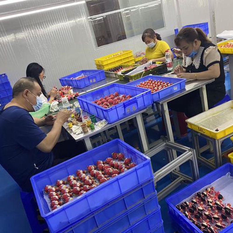 玩具加工定制